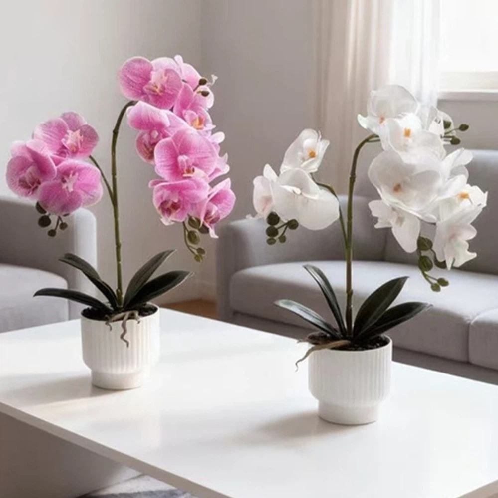 Orchid Potting Mix - Multi-Bloom Gesimuleerde Vlinderorchidee DIY Witte Bloempot