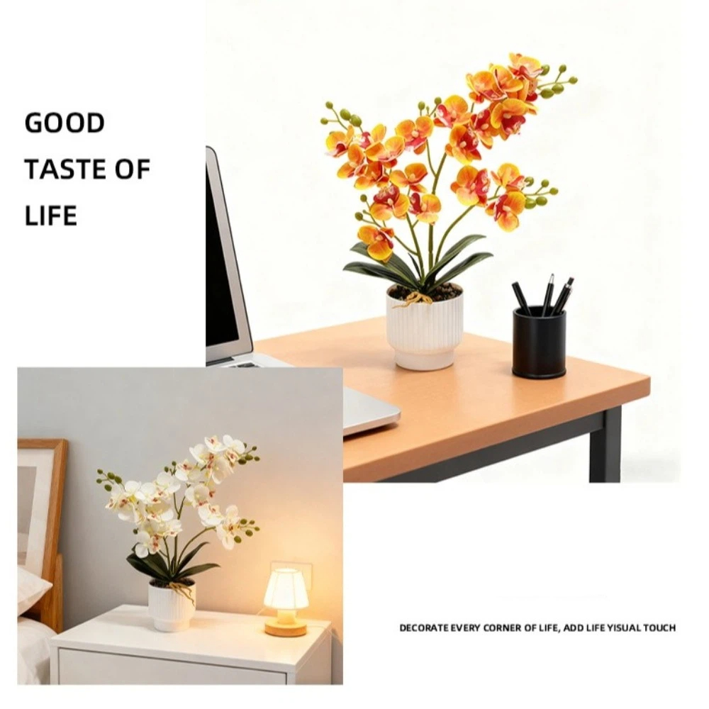 Multi-Bloom Gesimuleerde Vlind - Orchid Potting Mix recensie en prijs