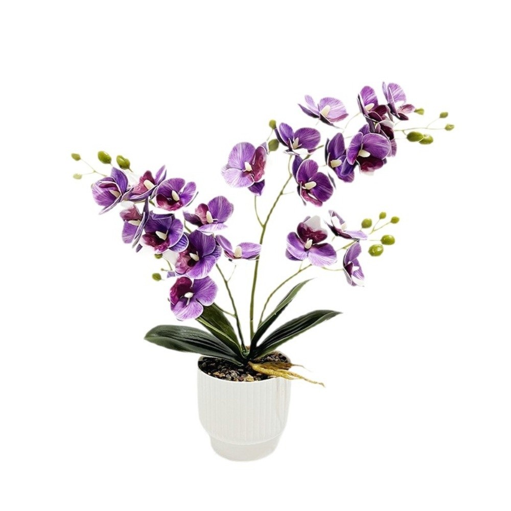 Multi-Bloom Gesimuleerde Vlind - Orchid Potting Mix recensie en prijs