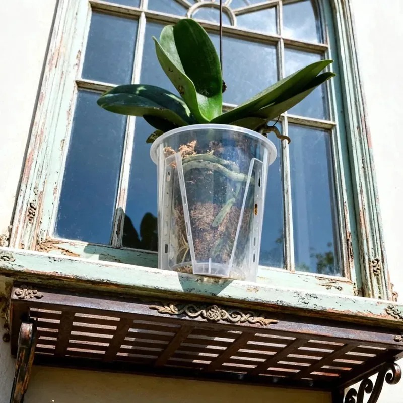 S/M/L/XL Doorzichtige Wortelco - Orchid Potting Mix recensie en prijs