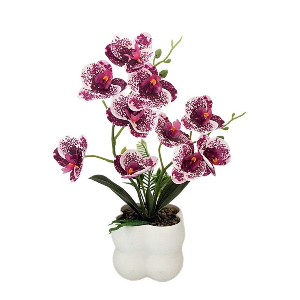 Multi-Bloom Gesimuleerde Vlind - Orchid Potting Mix recensie en prijs
