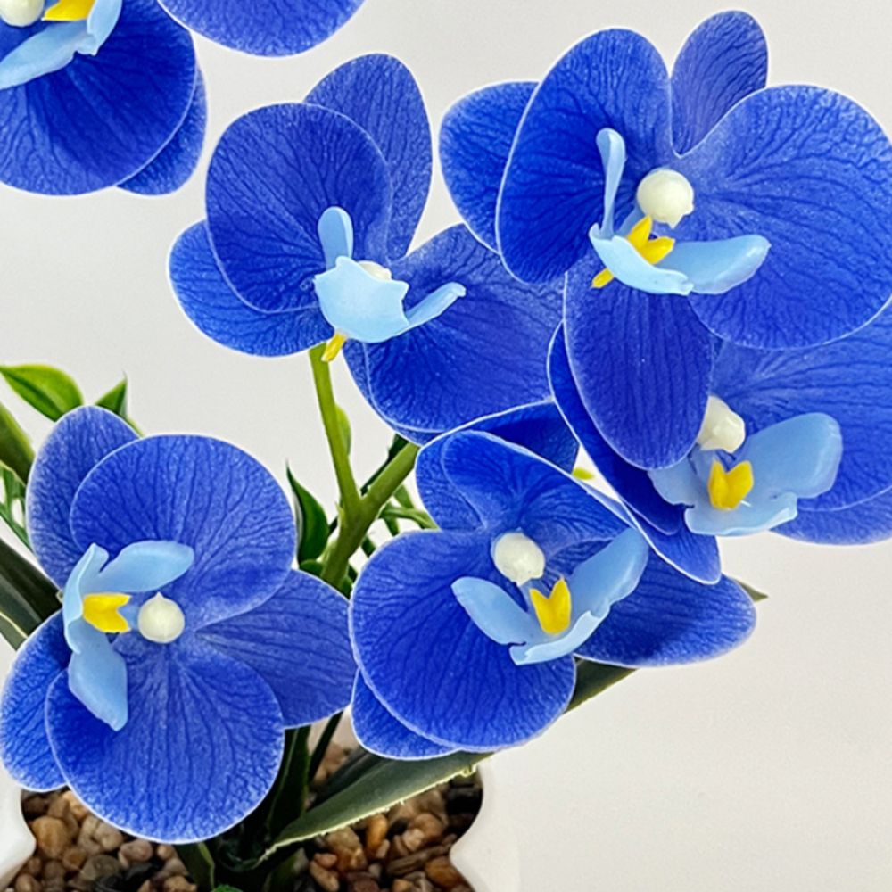 Multi-Bloom Gesimuleerde Vlind - Orchid Potting Mix recensie en prijs