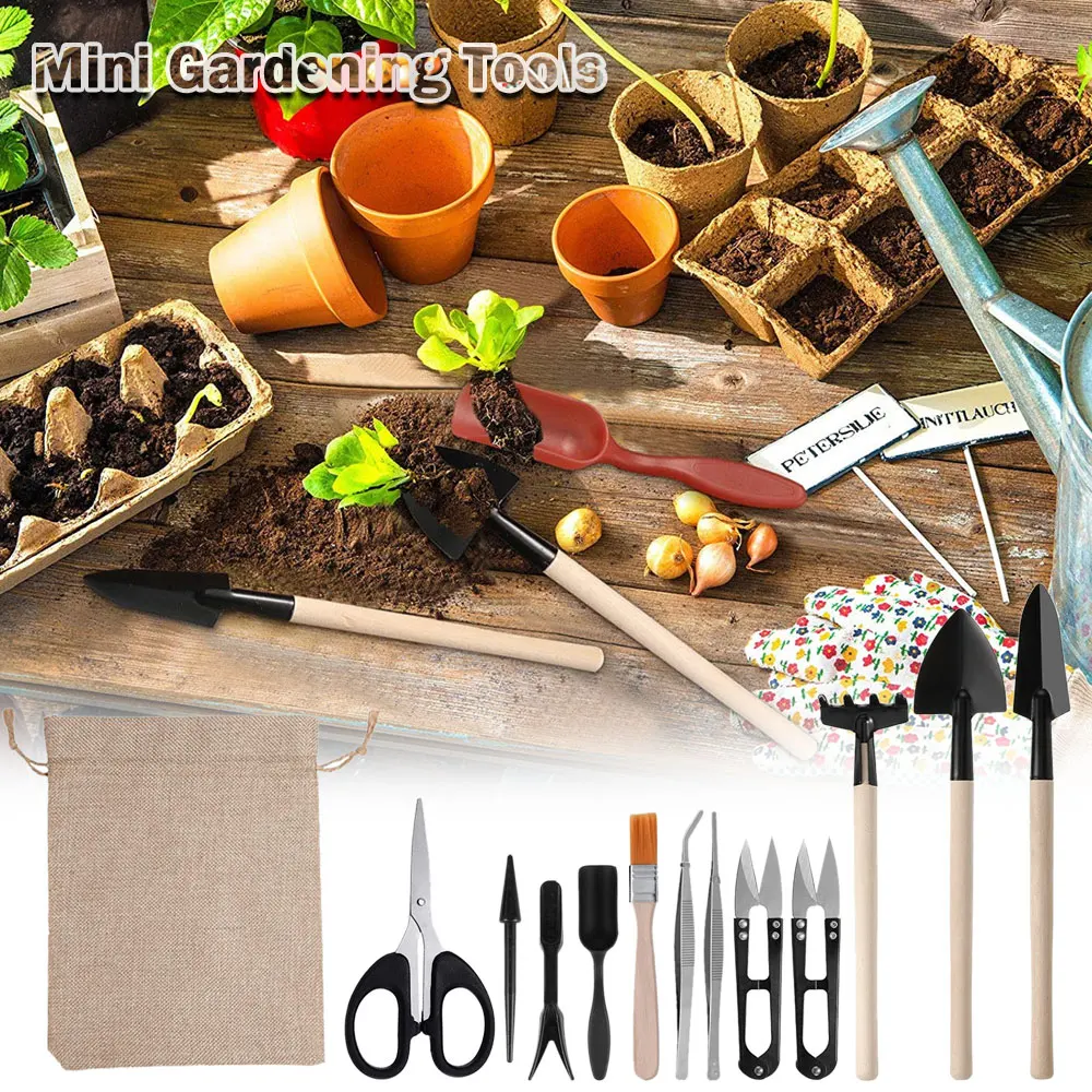 13 Stuks Sappige Planten Geree - Gardening Tools Sale recensie en prijs