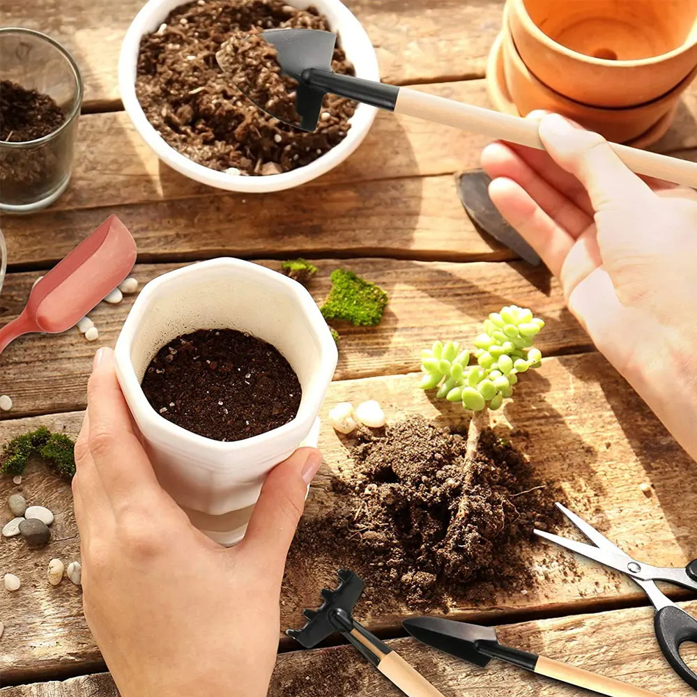 13 Stuks Sappige Planten Geree - Gardening Tools Sale recensie en prijs