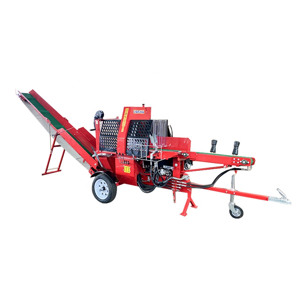 20 ton hydraulische houtklover - Gardening Tools In Store recensie en prijs