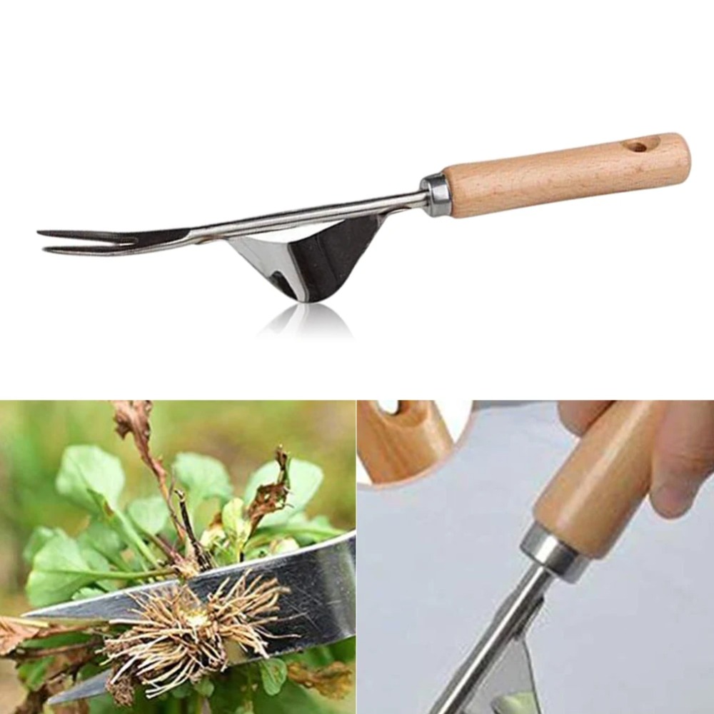 1 Stuks Hout Handvat Roestvrij - Gardening Tools To Remove Weeds recensie en prijs