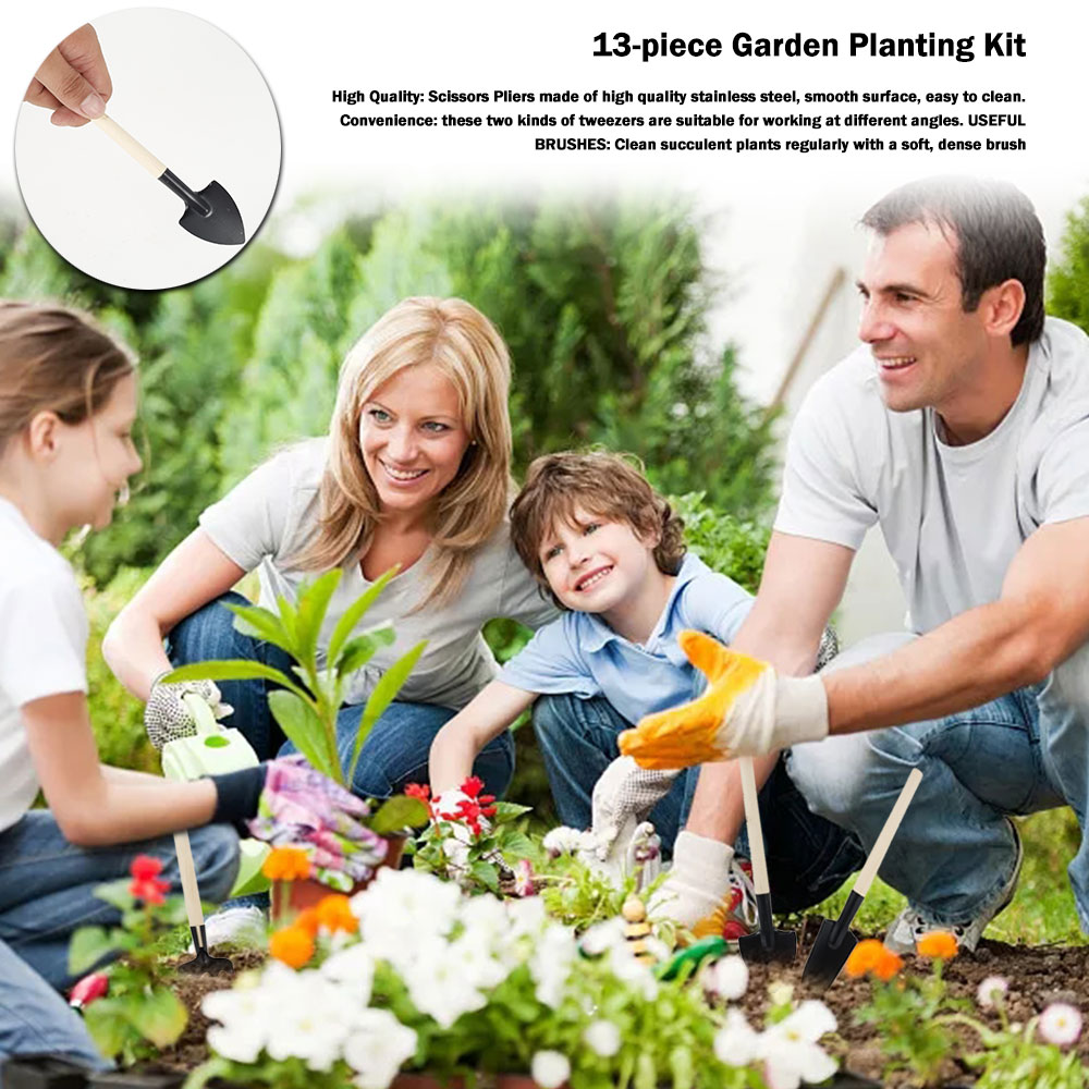 Vetplanten Gereedschap Mini Tu - Gardening Tools Sale recensie en prijs