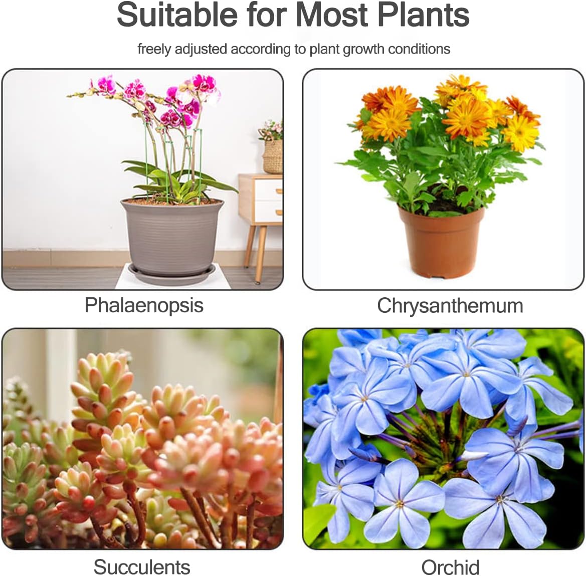 5/10 Stuks Plant Ondersteuning - Orchid Potting Mix recensie en prijs