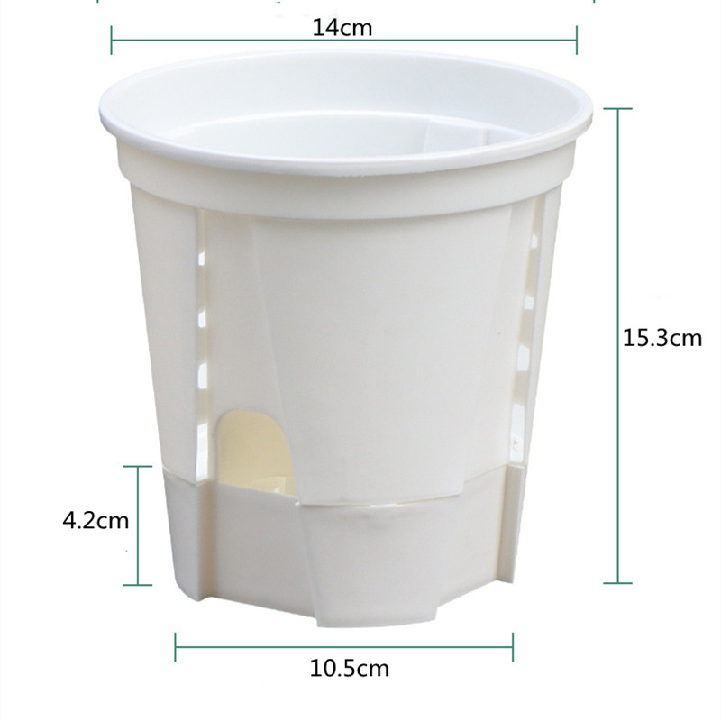 5 stks Transparante Orchidee P - Orchid Potting Mix recensie en prijs